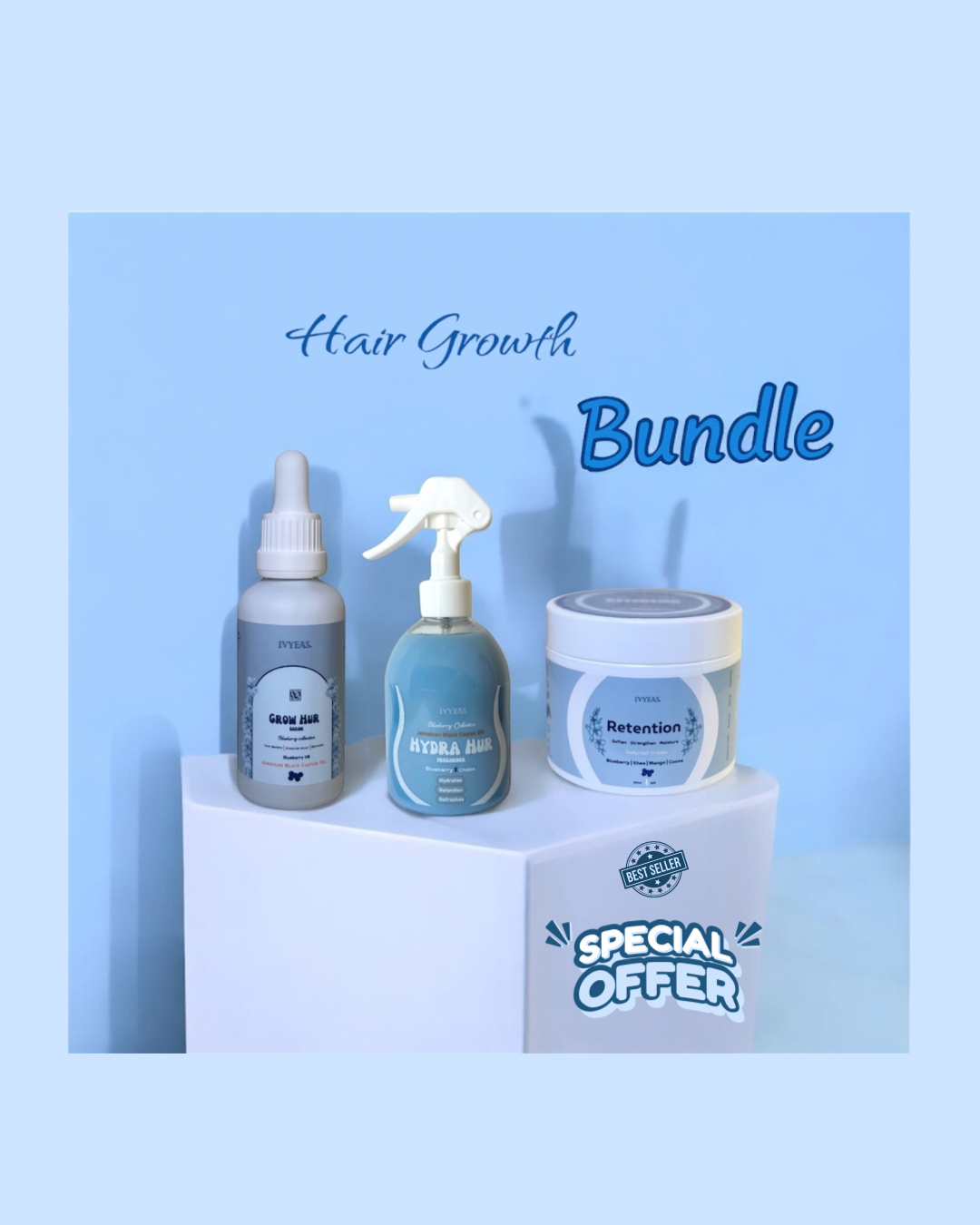 Blueberry bundle